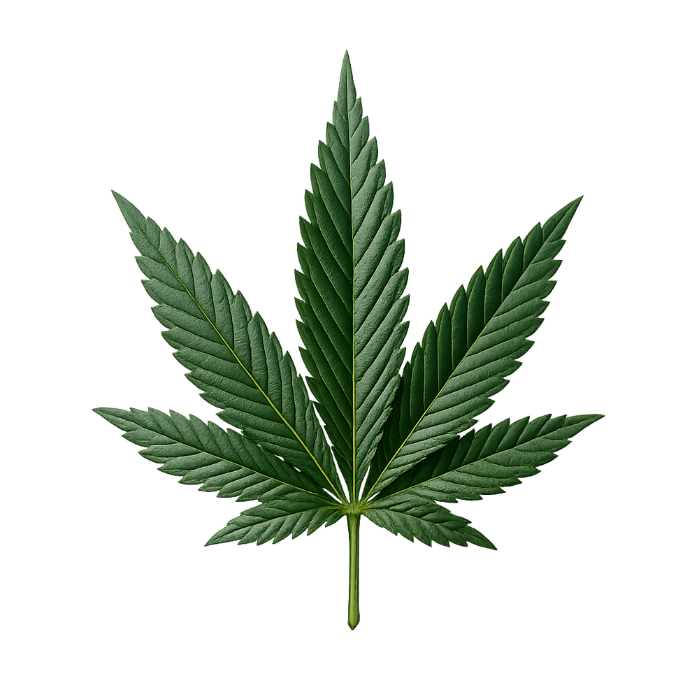 Cannabidiol