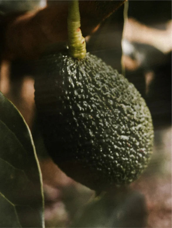 Visuel complémentaire autour de Lumière Drops de Luminesse Paris et de son sérum à la vitamine C.