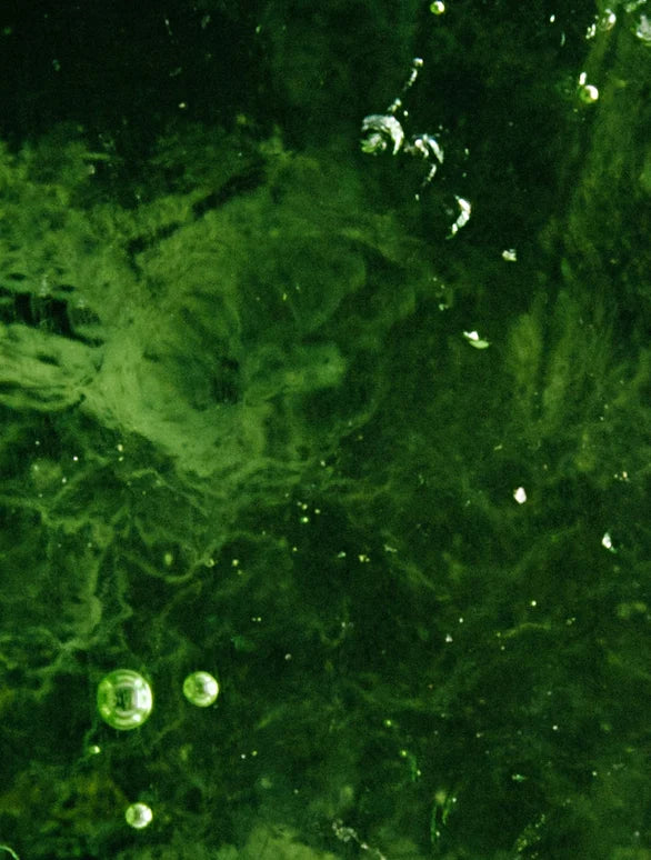 Visuel complémentaire associé à Midnight Ritual de Luminesse Paris et à sa formule aux céramides.